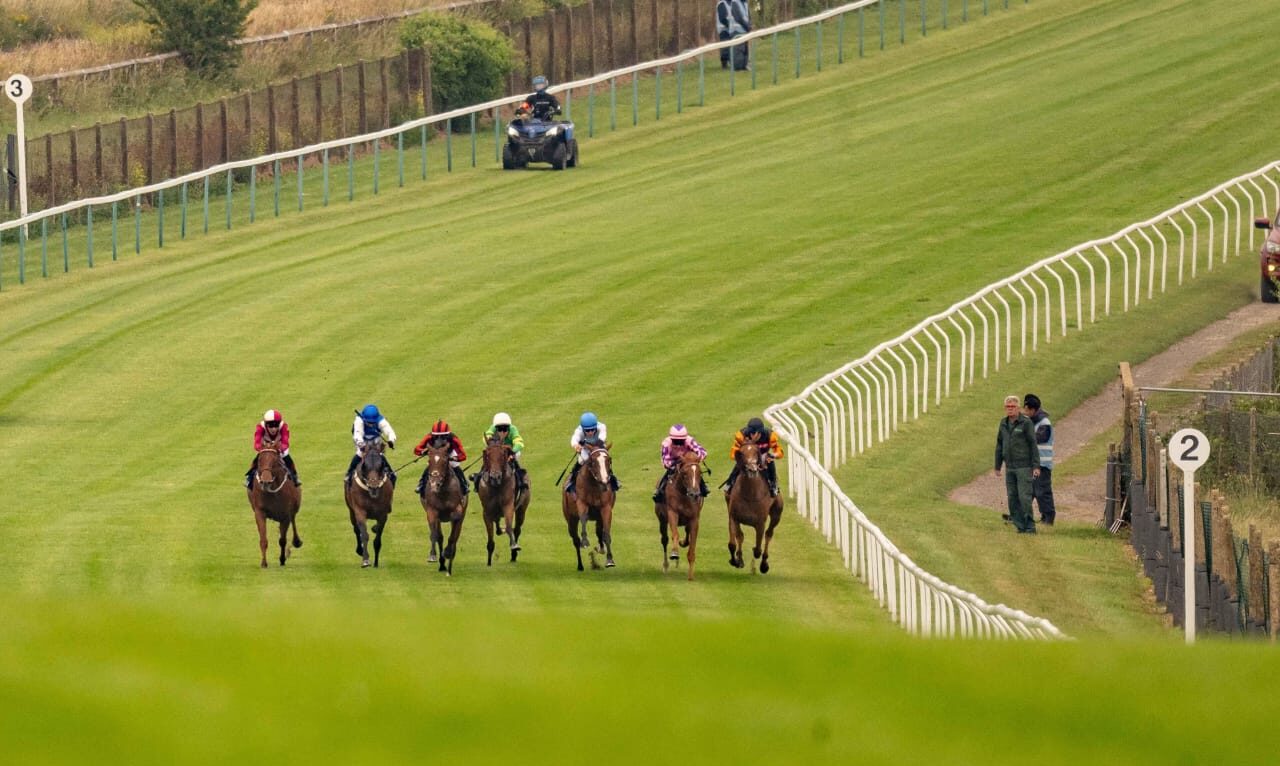 Horses competing on the picturesque turf at Brighton Racecourse during the Summer Afternoon Racing on July 1st, 2025