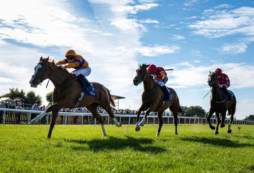 Aerial view of Tipperary Racecourse ahead of the three-day summer racing festival 2025.