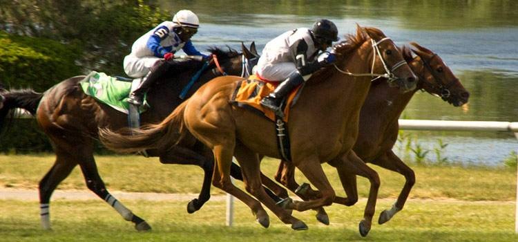 Horses competing at Fort Erie Race Track during Canada Day Live Racing 2025