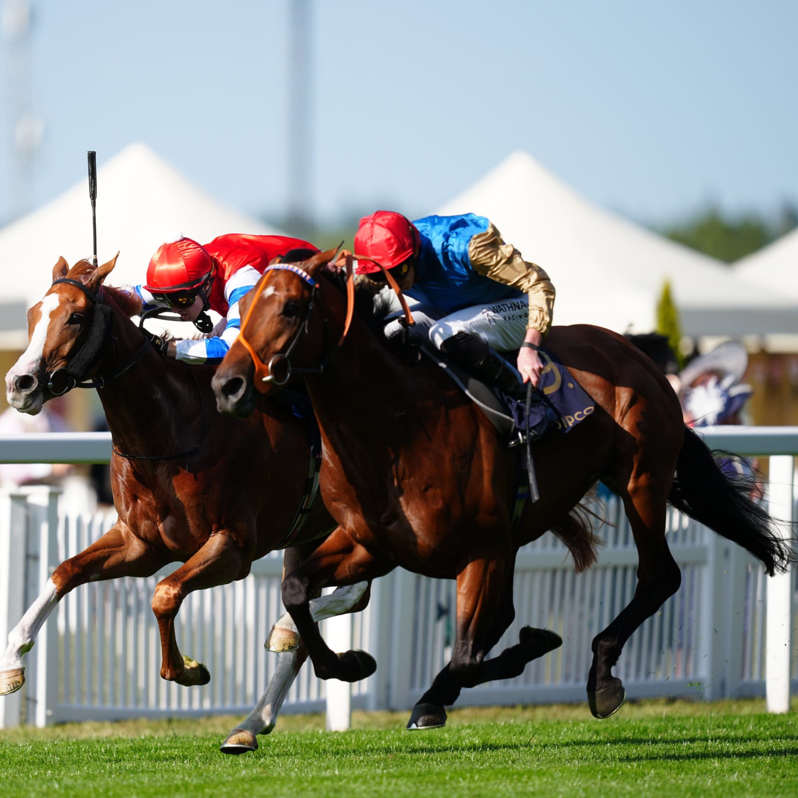 Ombudsman gallops at Sandown Park ahead of the 2025 Coral-Eclipse challenge