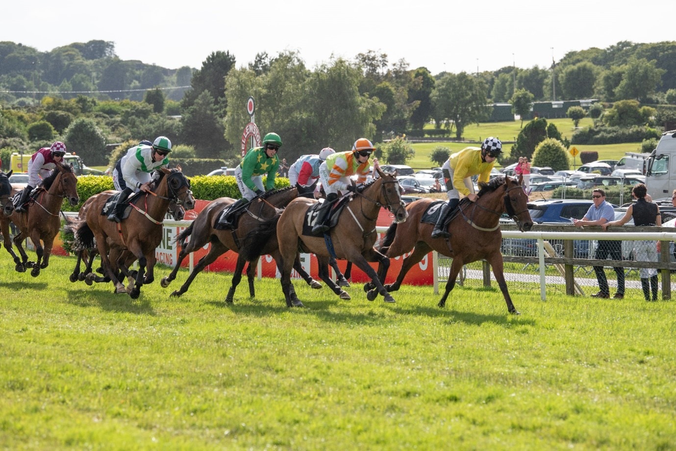 Horses racing at Bellewstown Racecourse on a summer race day in Ireland, with spectators enjoying the vibrant atmosphere.