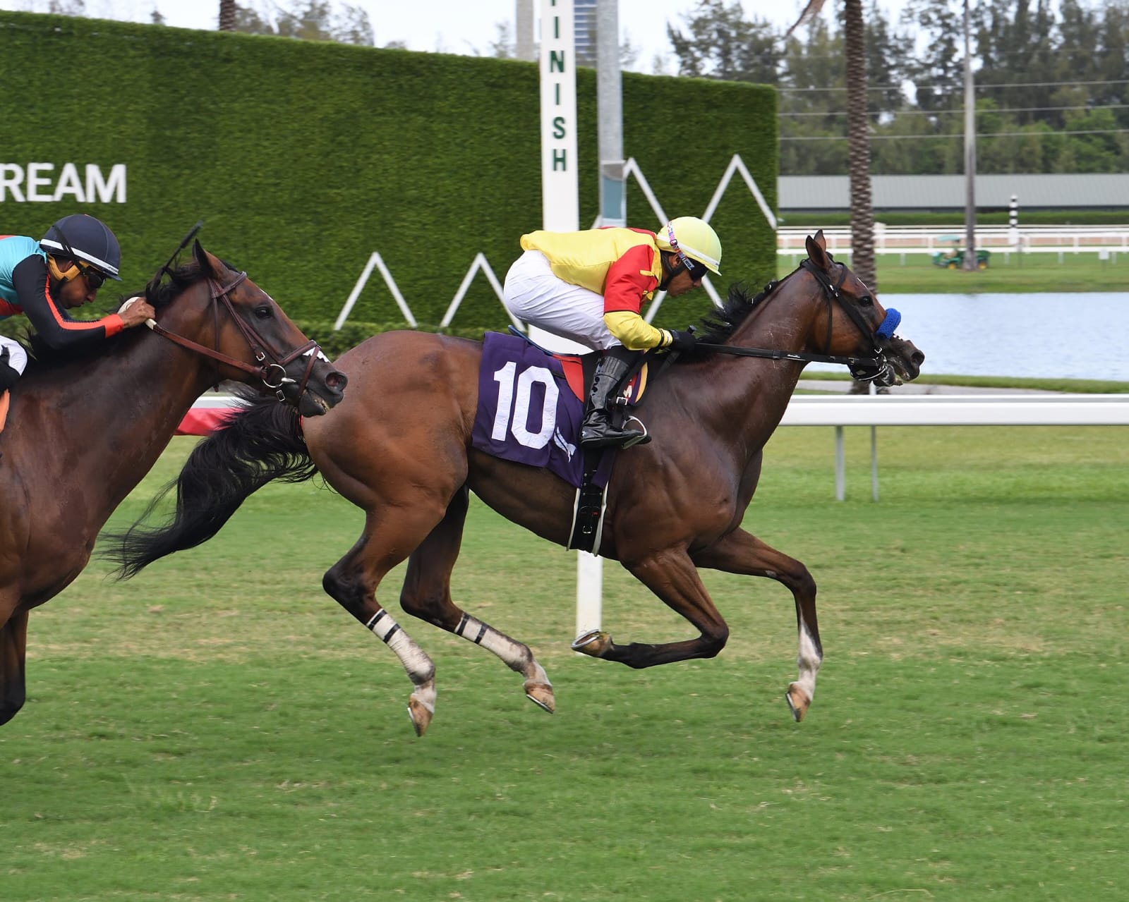 Horses racing at Gulfstream Park with scenic backdrop and grandstand on July 4th, 2025