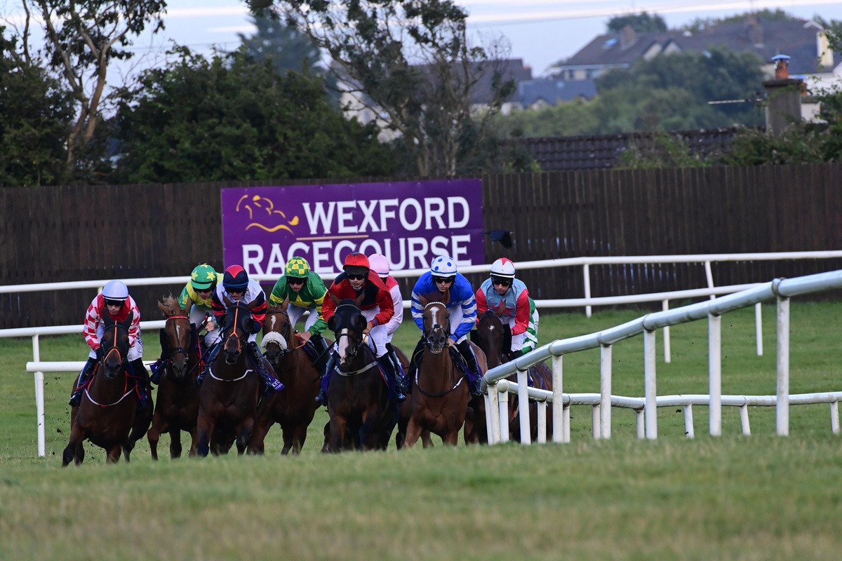 Wexford Racecourse panoramic view with jumps and steeplechase track set for July 4th, 2025 race meeting