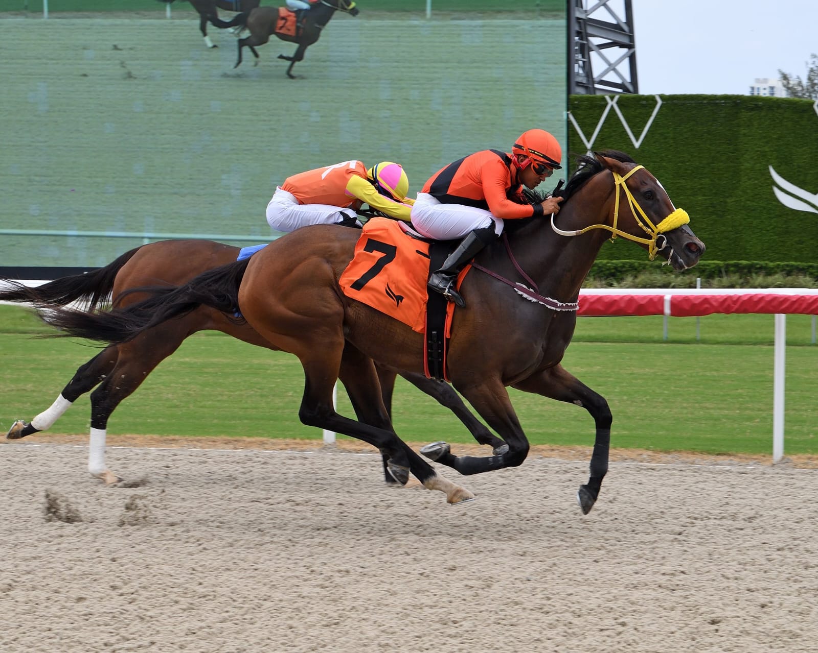 Horses racing at Gulfstream Park on July 5, 2025 during the action-packed 11-race event