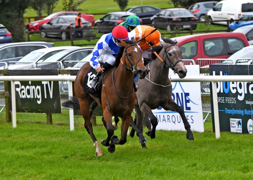 Horses galloping at Bellewstown Racecourse during summer 2025 race day