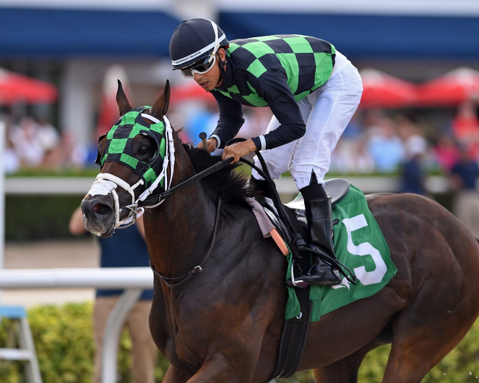 Horses racing on a sloppy track at Gulfstream Park on July 6, 2025