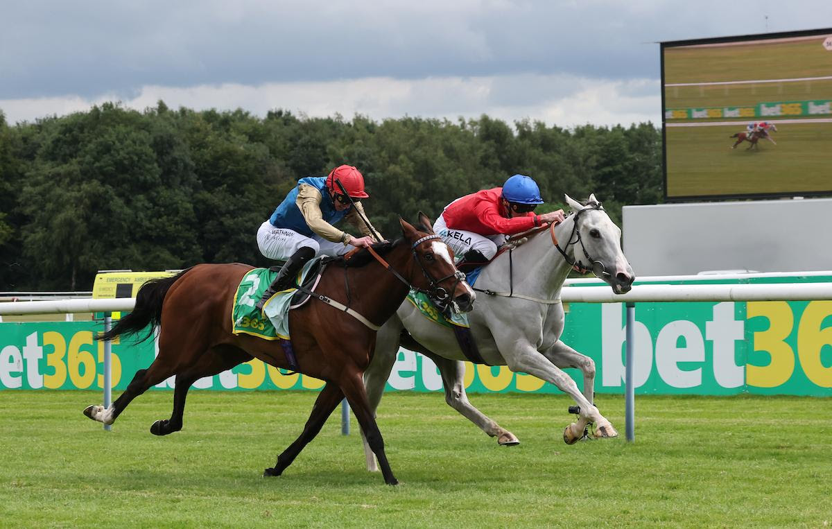 Estrange powers to victory in the 2025 Lancashire Oaks at Haydock Park with Danny Tudhope aboard