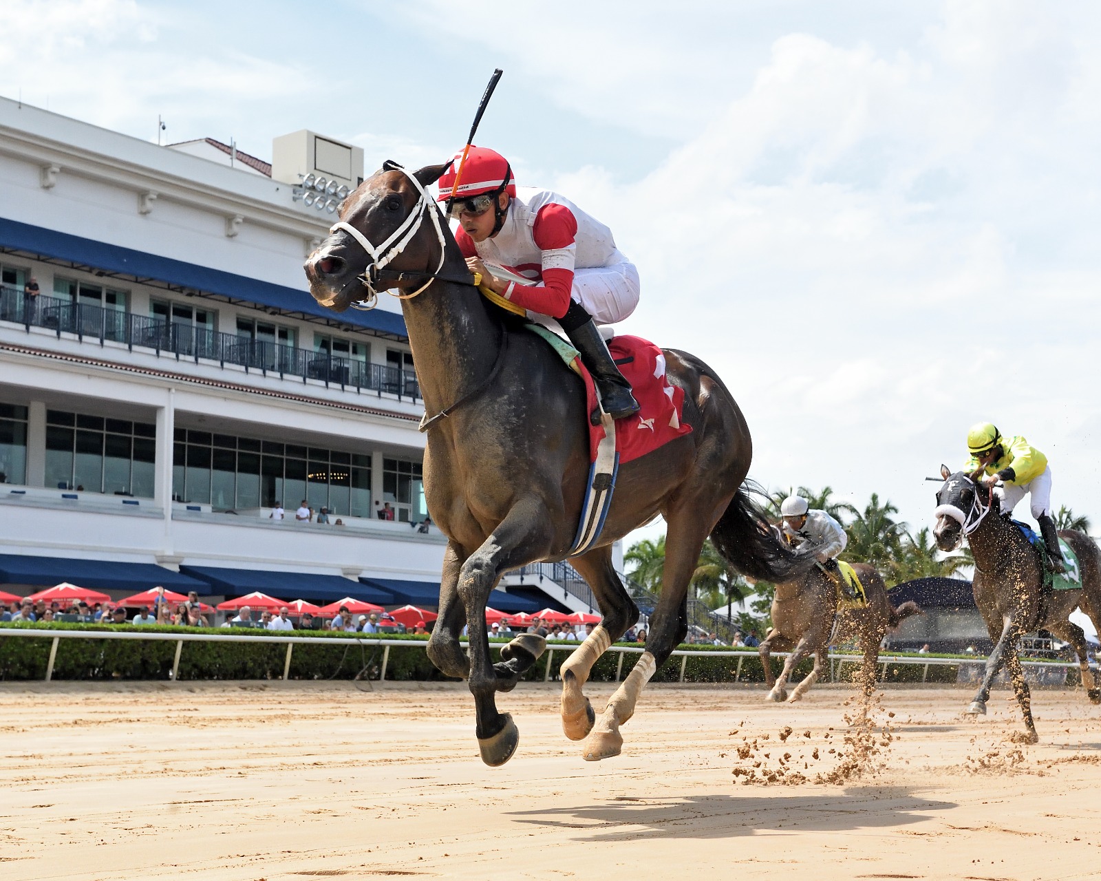 Implementation surging past rivals on a muddy Gulfstream Park track under jockey Edgard Zayas in the 2025 Smile Sprint.