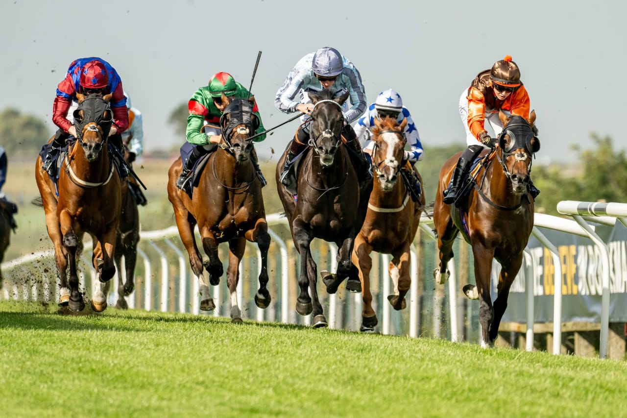 Brighton Racecourse Summer Evening Racing – horses sprinting down the turf under golden evening light