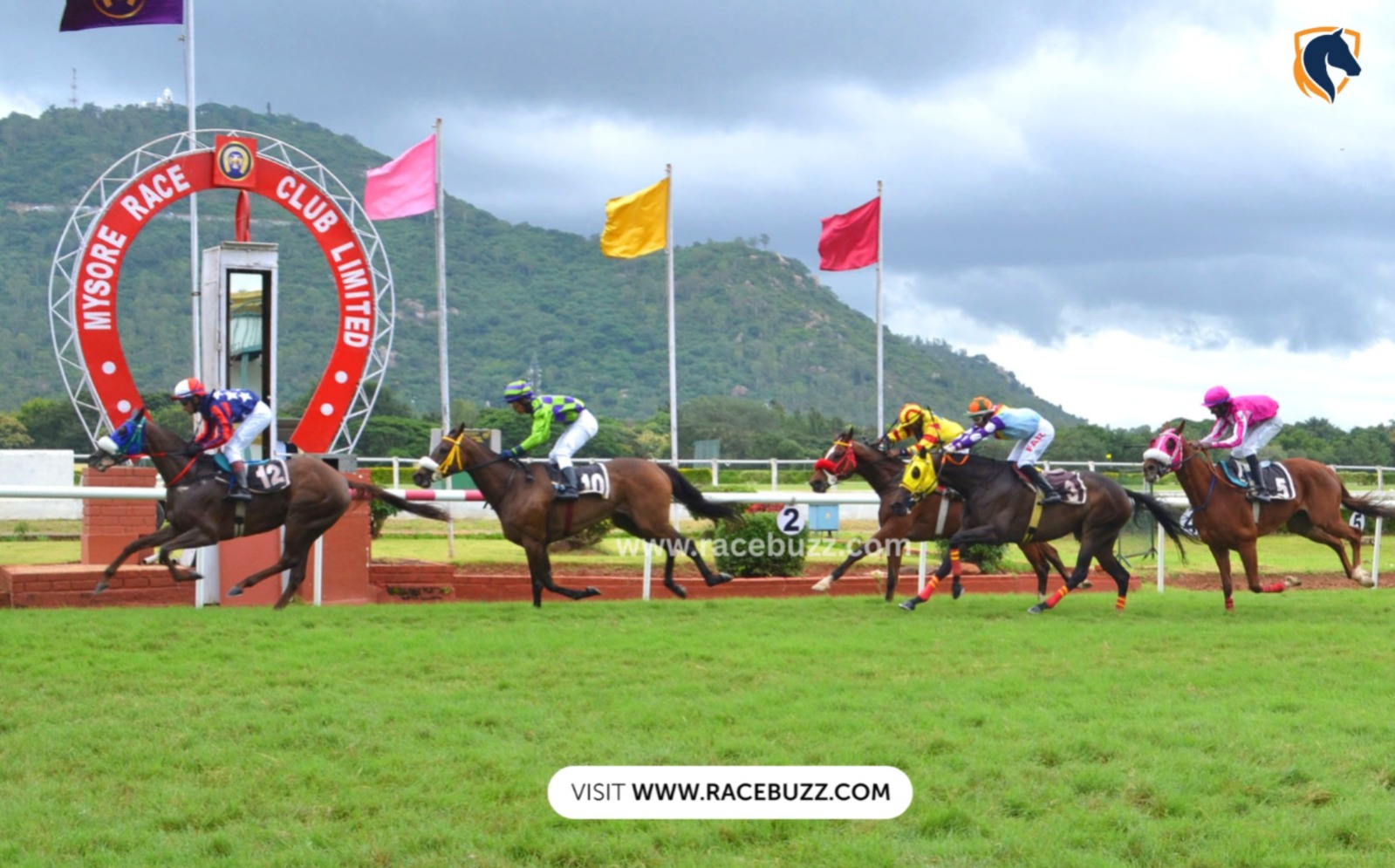 Horses thundering down the track at Mysore Racecourse during the Summer Meeting 2025 with spectators cheering from the stands.
