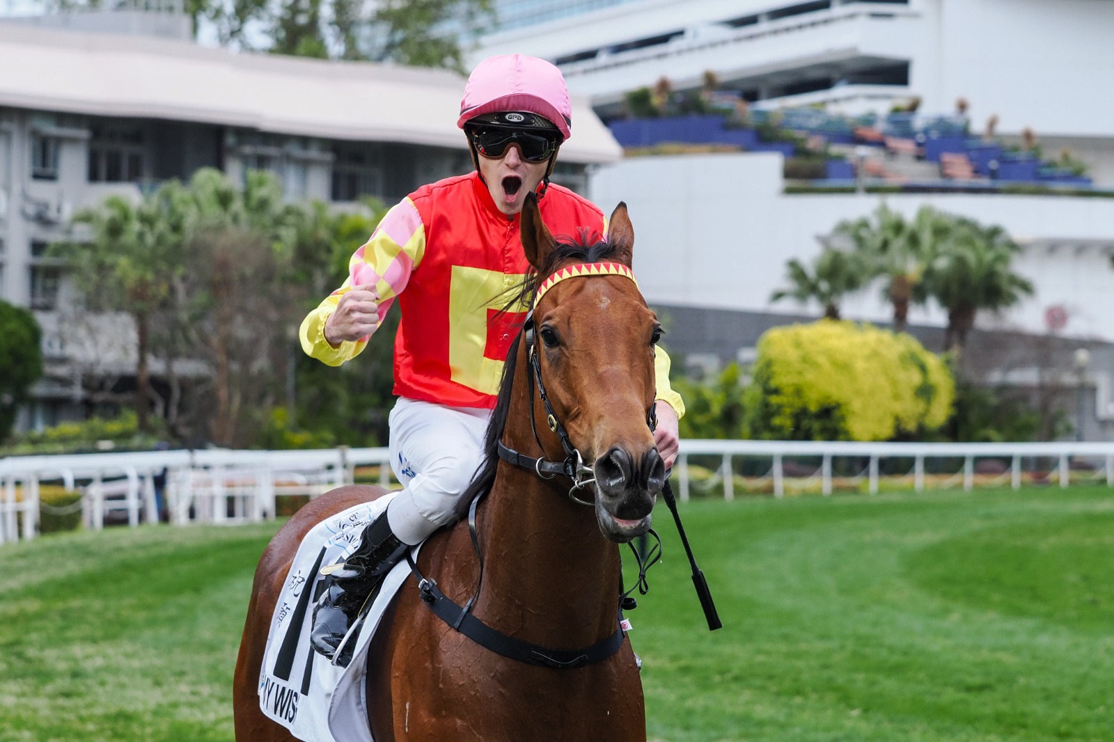 Trainer Mark Newnham alongside his rising star My Wish after a successful 2024/25 Hong Kong racing season
