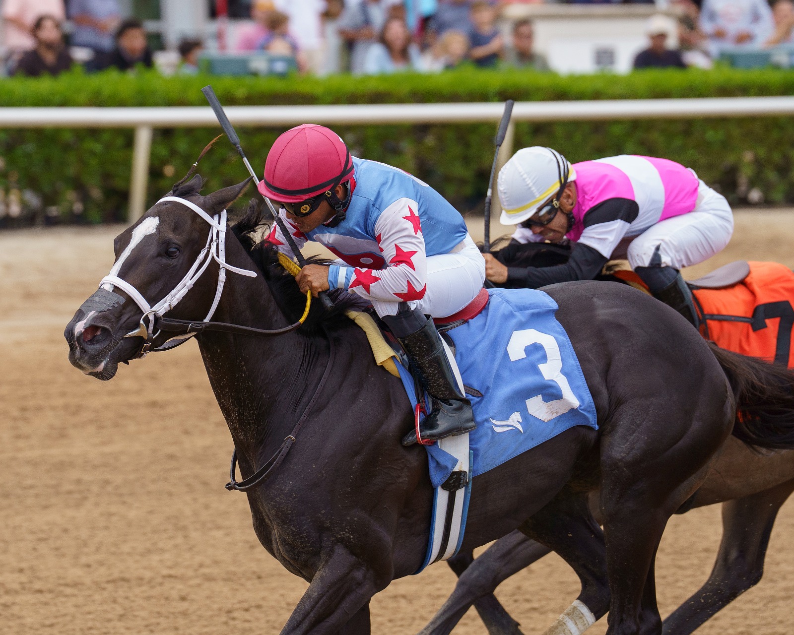 Miguel Vasquez aboard Andrea crossing the finish line at Gulfstream Park during the 2025 Azalea Stakes.