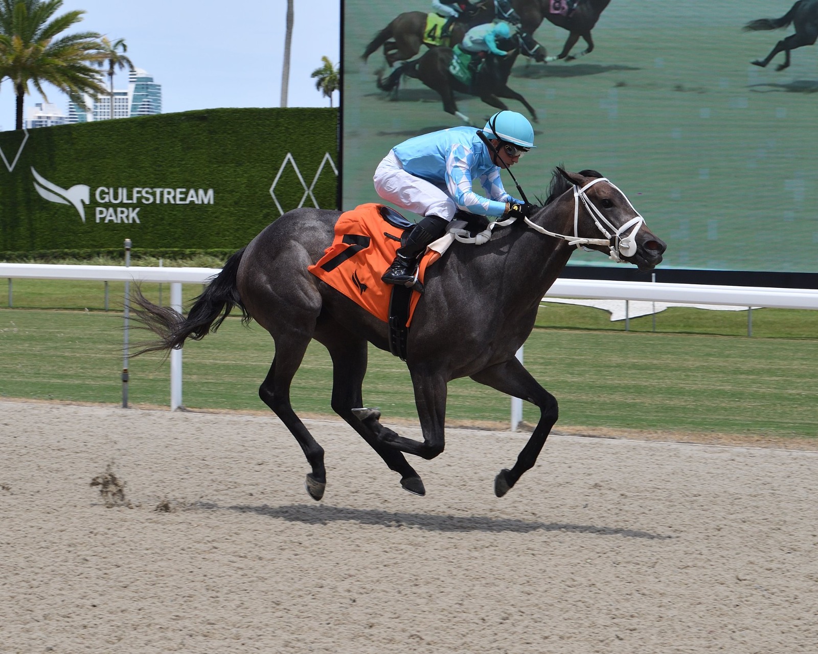 Horses race at Gulfstream Park during the Sunshine Meet Stakes, with the Princess Rooney Invitational as the main highlight
