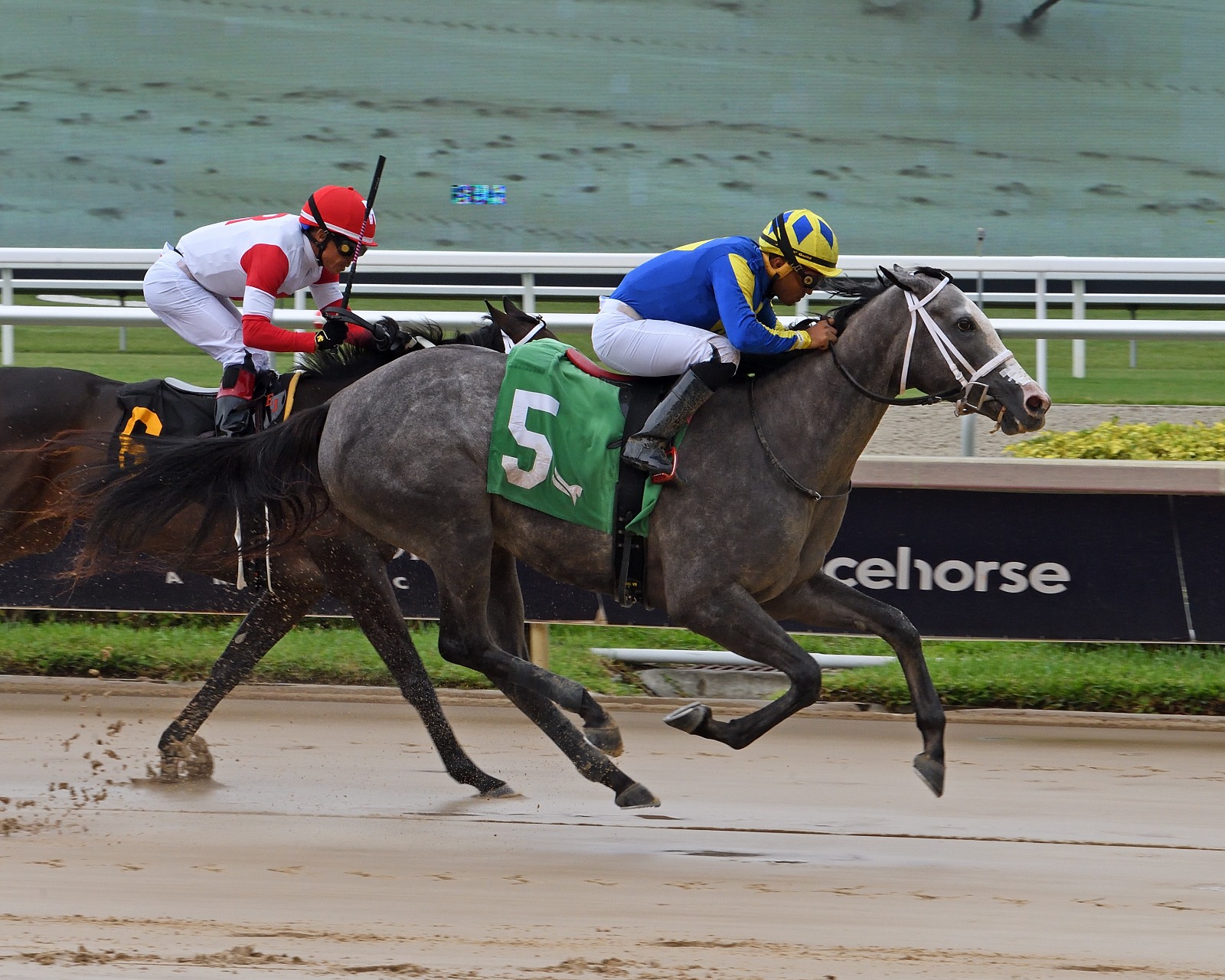 Jockey Edwin Gonzalez riding on a sunny race day at Gulfstream Park, approaching career milestone.