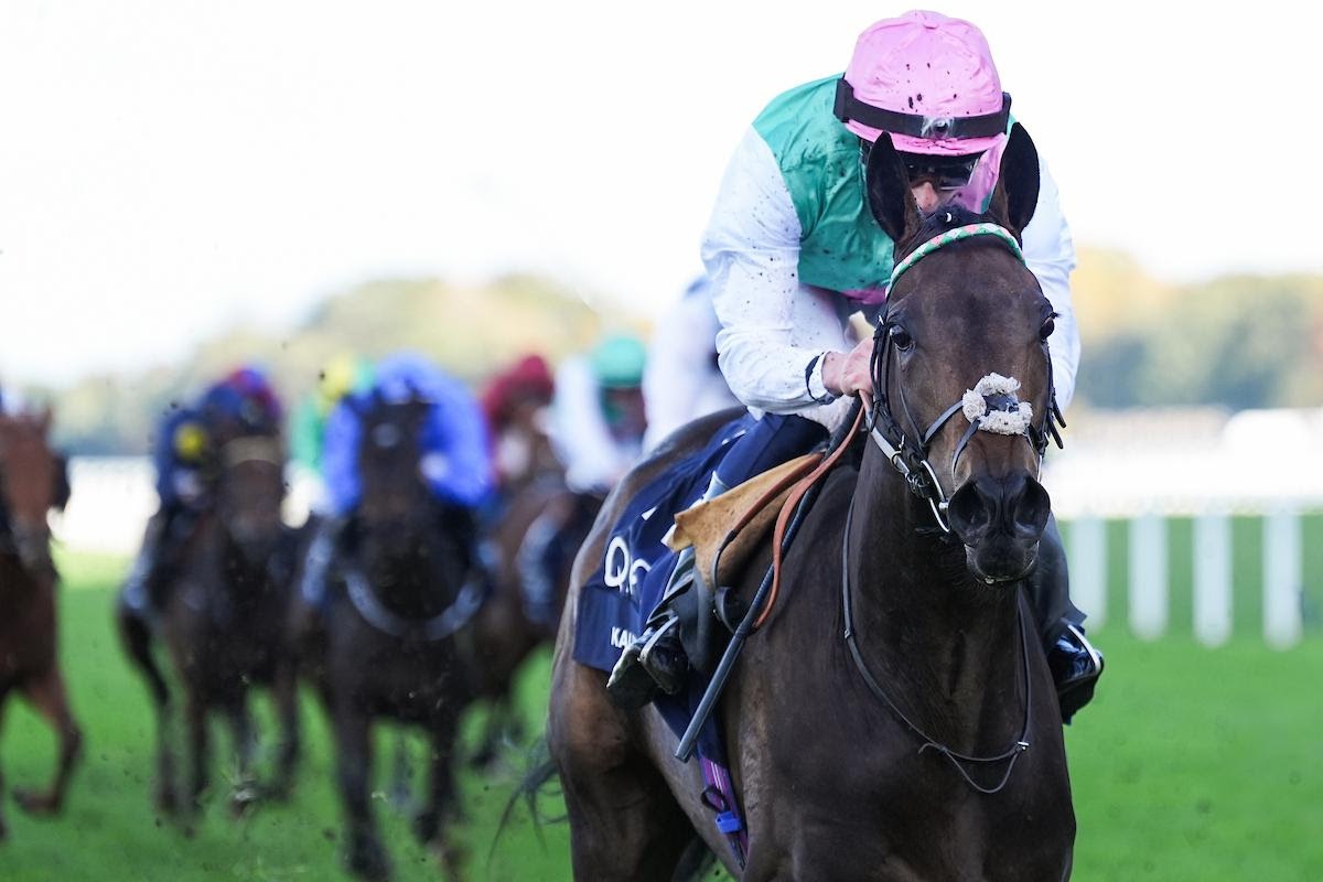 King George Stakes 2025 field at Ascot Racecourse