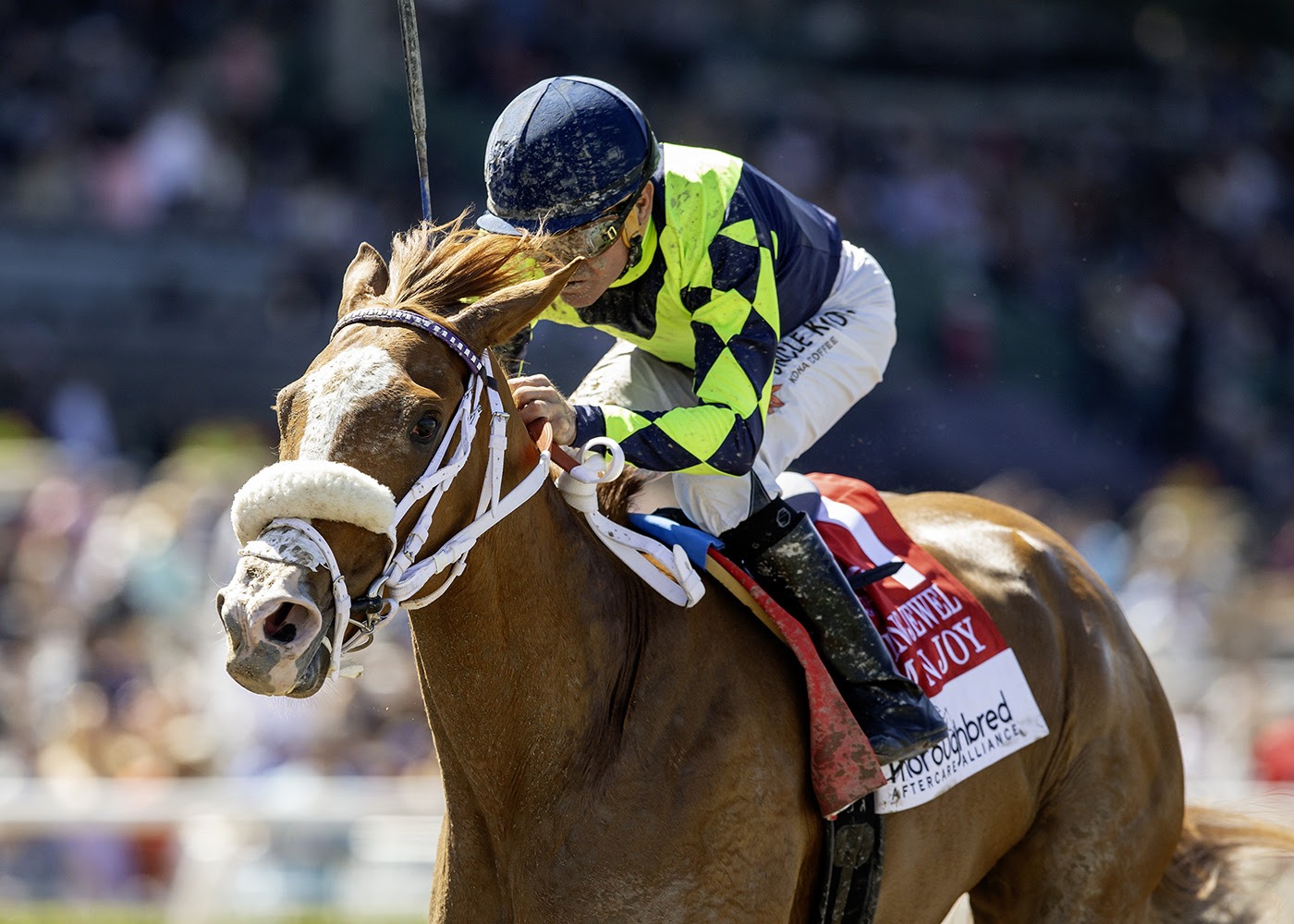 Om N Joy and rivals prepare for Fleet Treat Stakes 2025 at Del Mar
