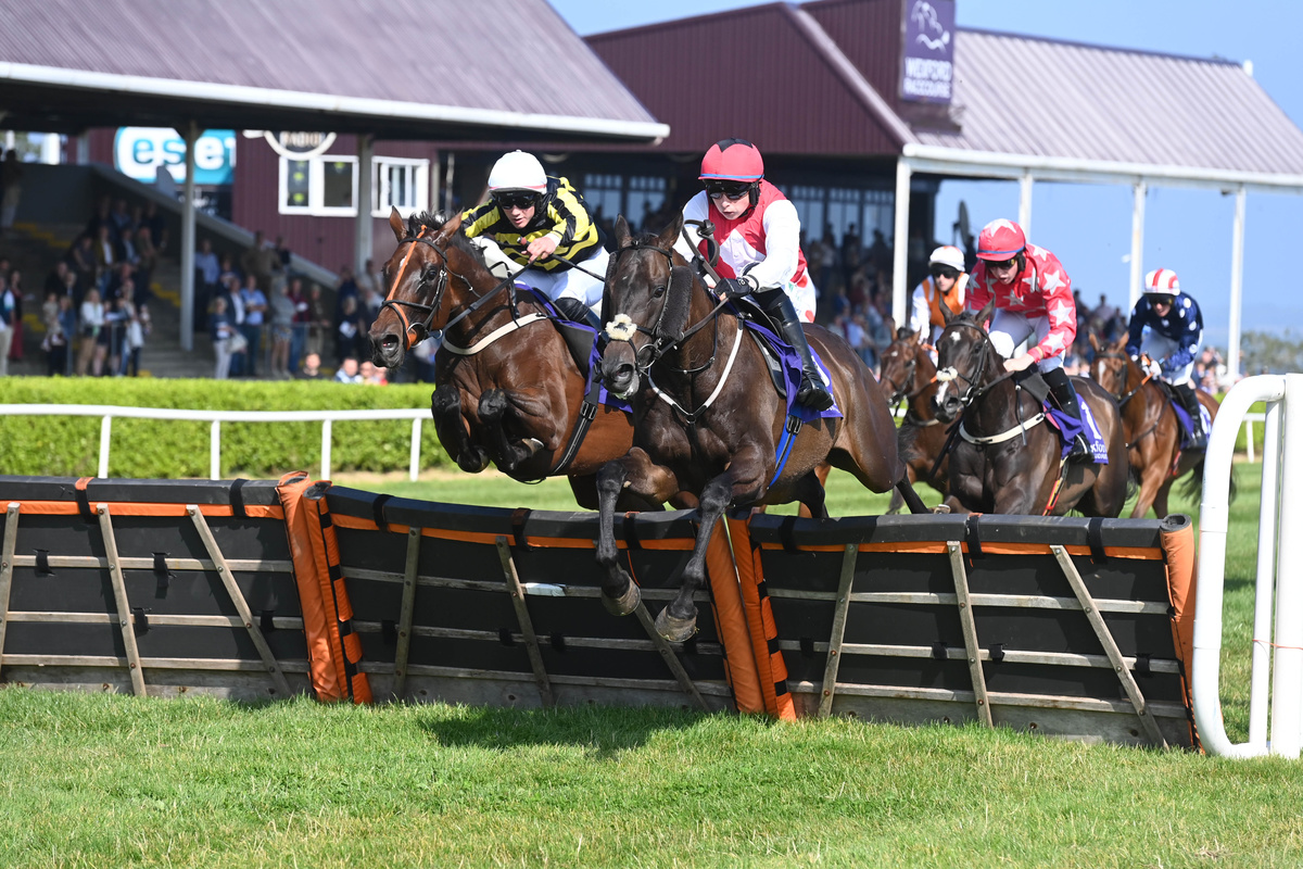 Racegoers enjoying Wexford Horse Racing during the summer evening meet