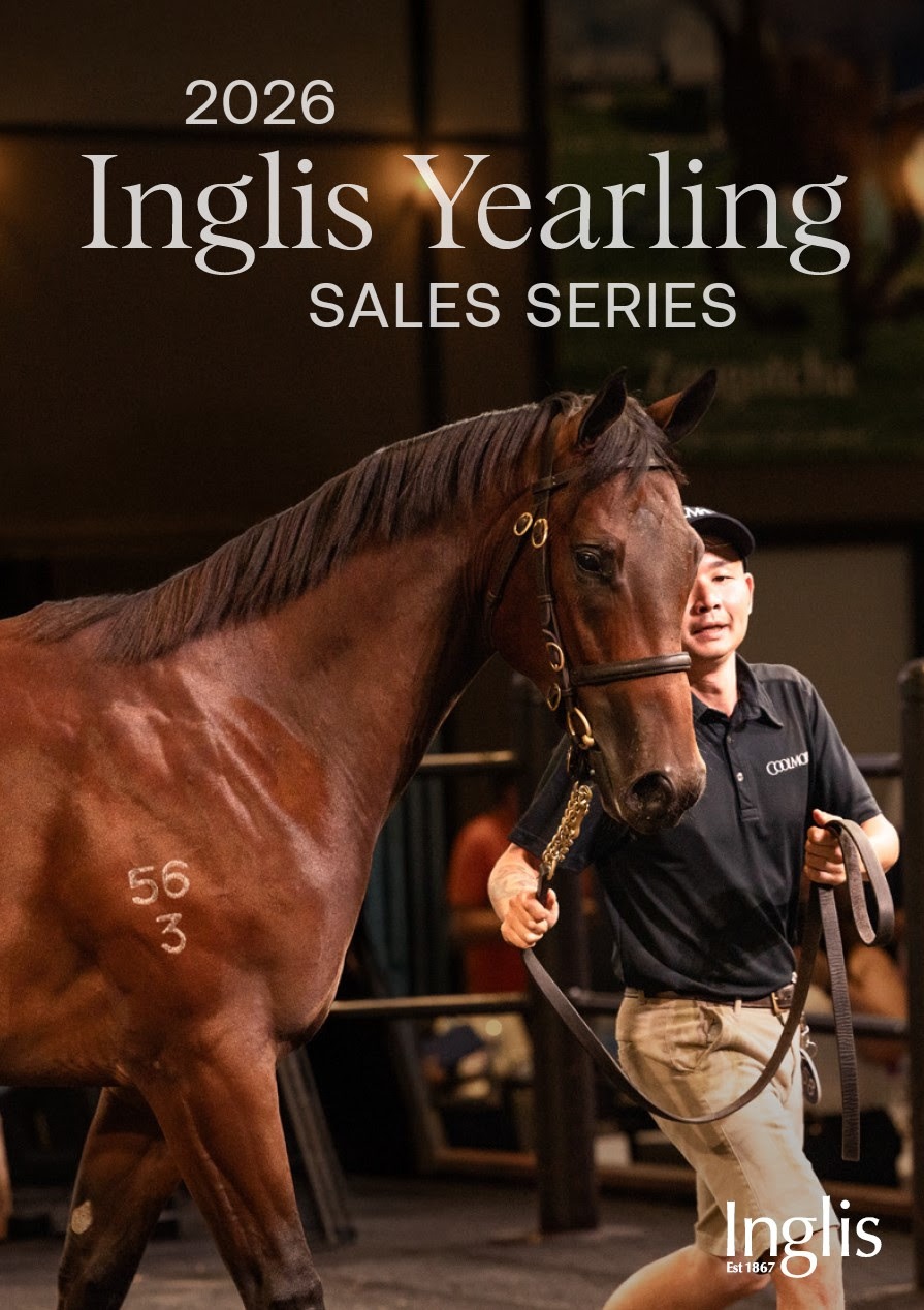 Snitzel x Winx colt at Inglis Easter Sale 2026