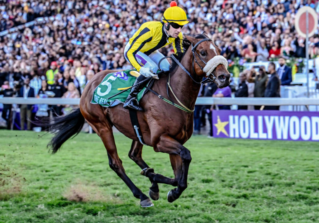 Greyville Racecourse horses racing July 27, 2025 Grade 1 event