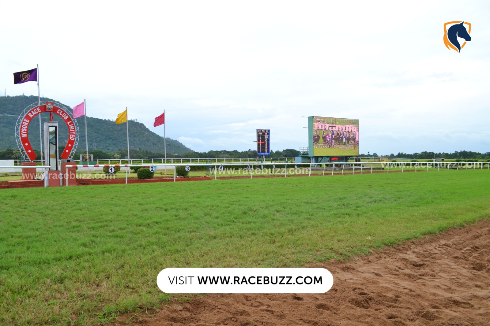 Mysore Summer Races 2025 horse racing action