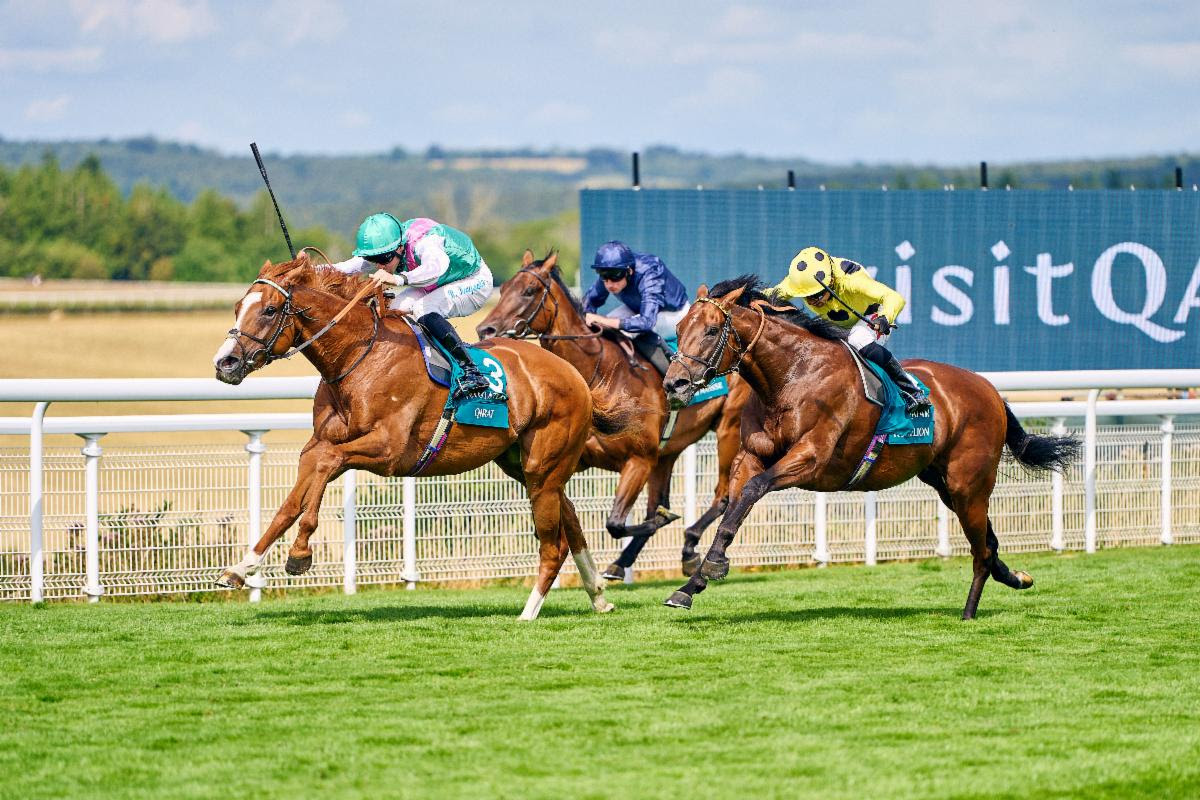 Qirat wins the 2025 Qatar Sussex Stakes at Goodwood under Richard Kingscote