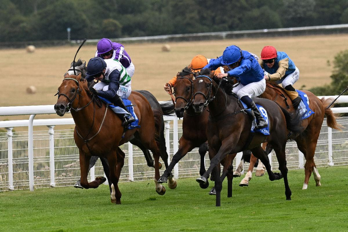 Zavateri wins Coral Vintage Stakes 2025 at Goodwood