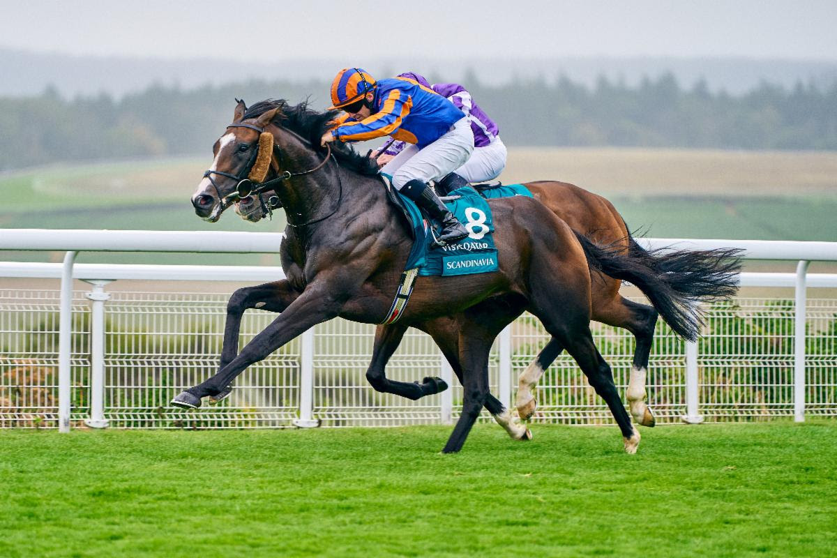 Scandinavia wins Al Shaqab Goodwood Cup 2025 under Wayne Lordan