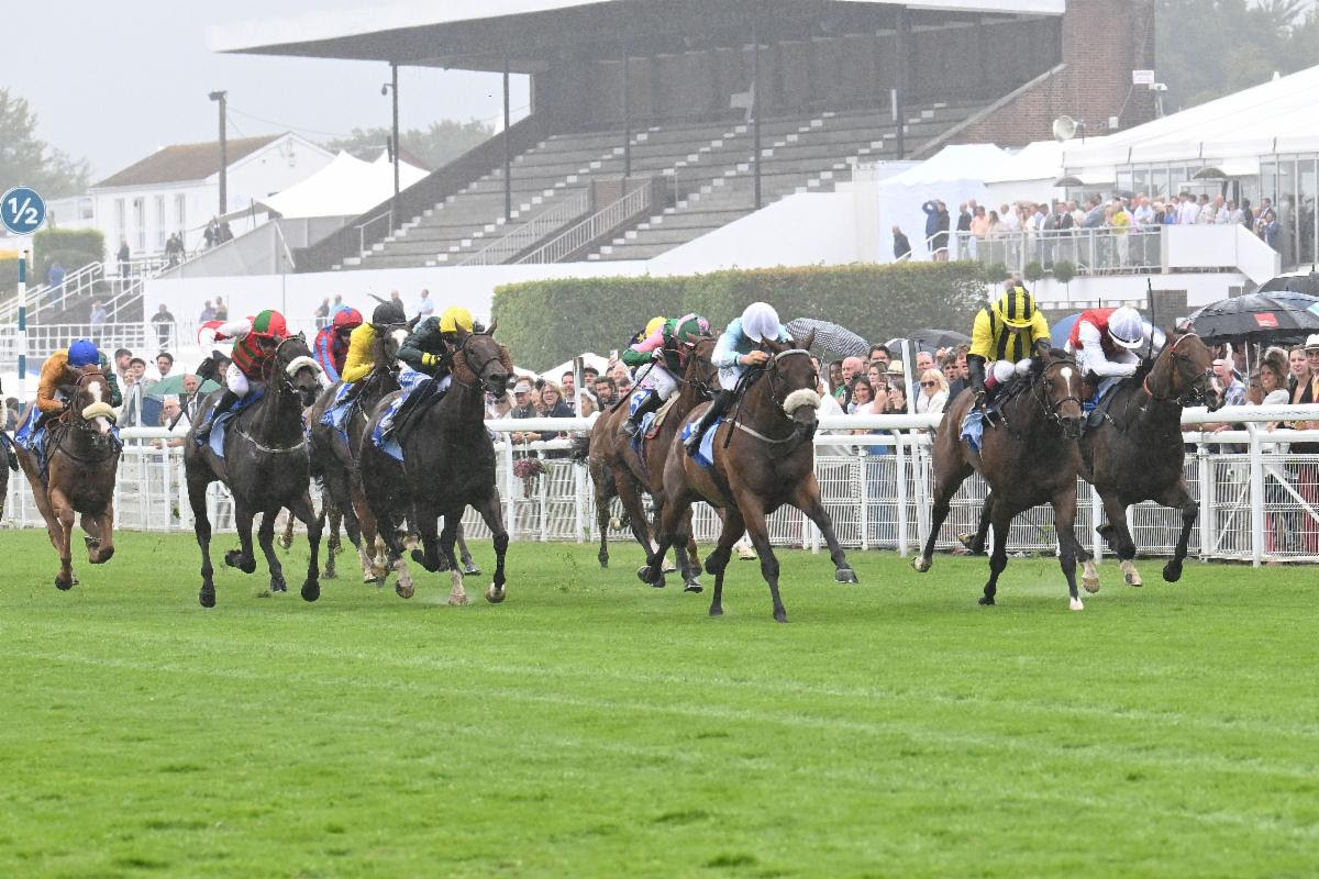 Brazen Bolt wins Coral Golden Rewards Shaker Handicap 2025 under Warren Fentiman