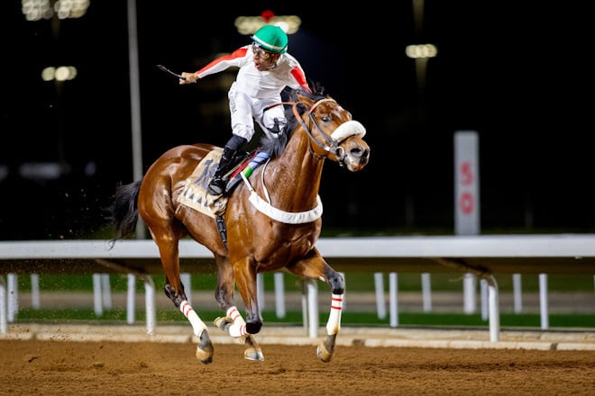 Carmel Road winning the 2024 King Faisal Cup at King Khalid Racecourse
