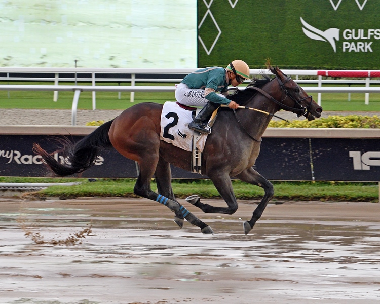 Proud Man Stakes 2025 Results