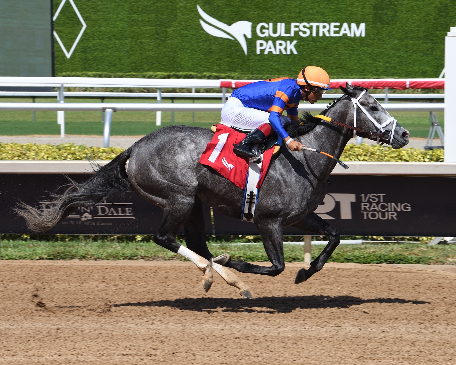 Haulin Ice and Claret Beret competing in Gulfstream Park Sheer Drama