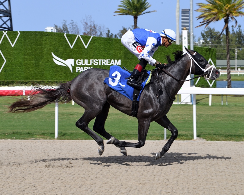 Iron Hand Bears Den Stakes