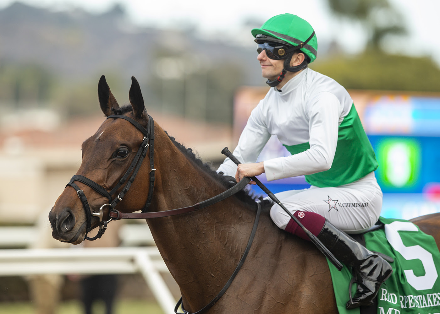 Mrs. Astor races at Del Mar in the CTT & TOC Stakes 2025 turf marathon.