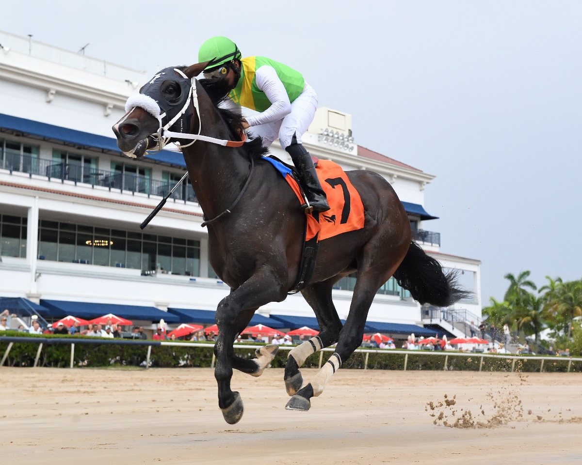 Shaq Diesel winning the Benny the Bull Handicap at Gulfstream Park