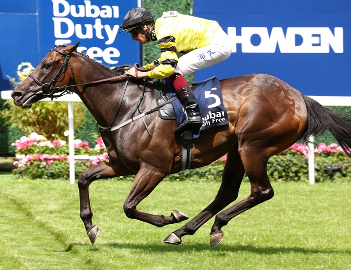 Shergar Cup Silver Saddle 2025 presentation at Ascot Racecourse