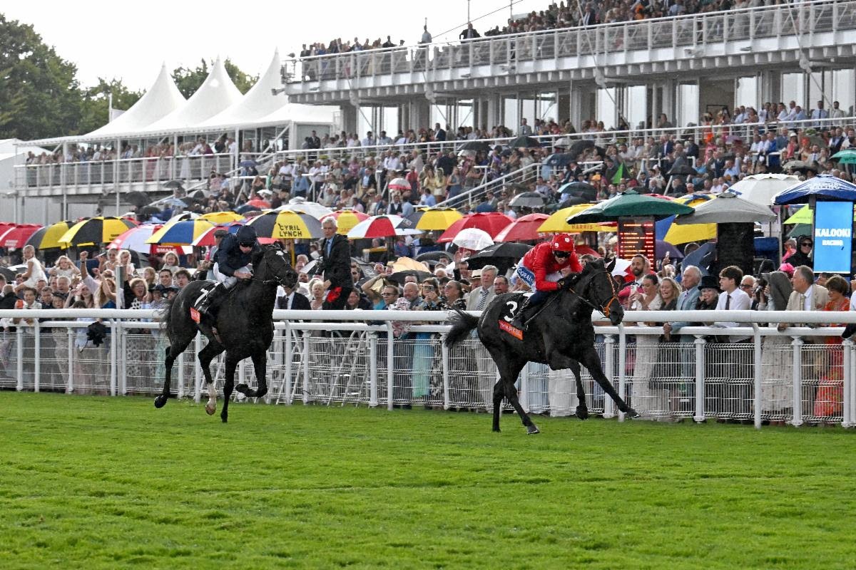Coppull winning the 2025 Markel Richmond Stakes at Goodwood under David Probert