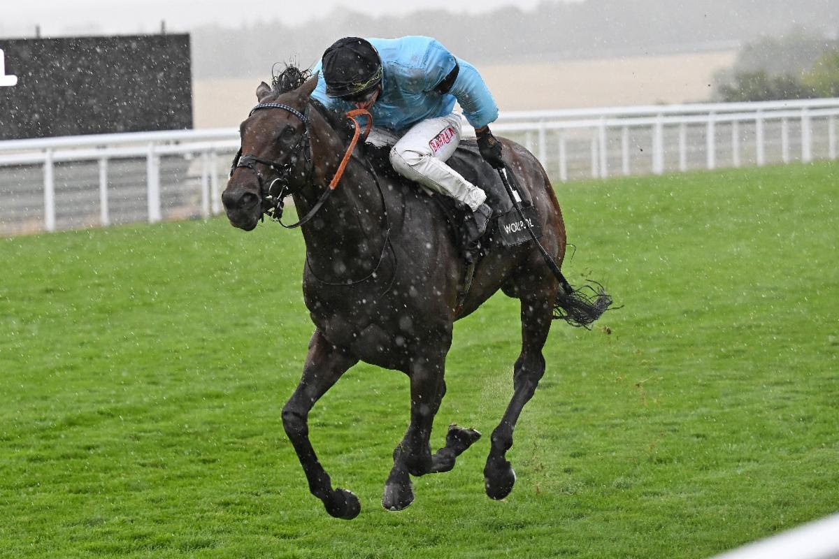 Merchant wins HKJC World Pool Gordon Stakes 2025 at Goodwood