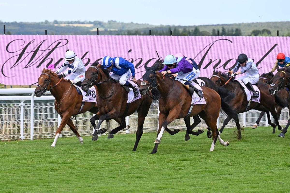 Mudbir wins Whispering Angel Handicap at Qatar Goodwood Festival