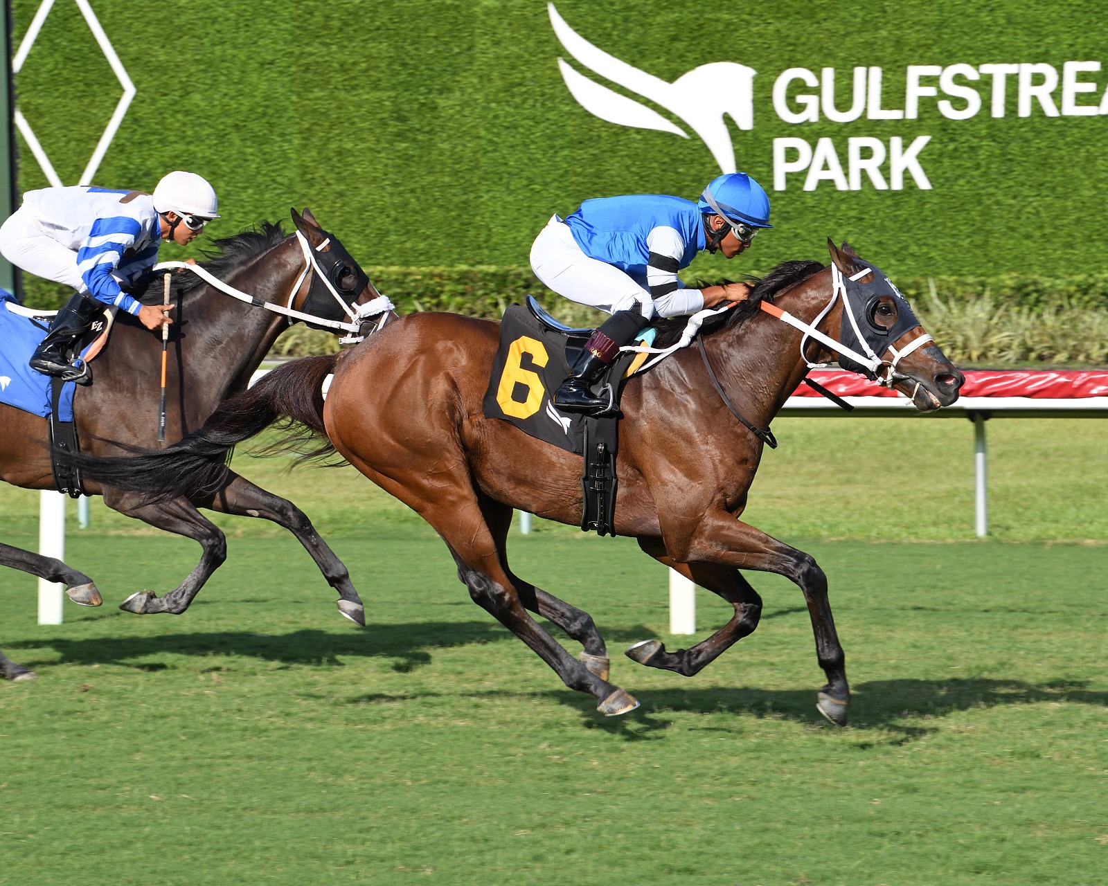 Reef Runner powers home to win the Warrior’s Pride Handicap at Gulfstream Park