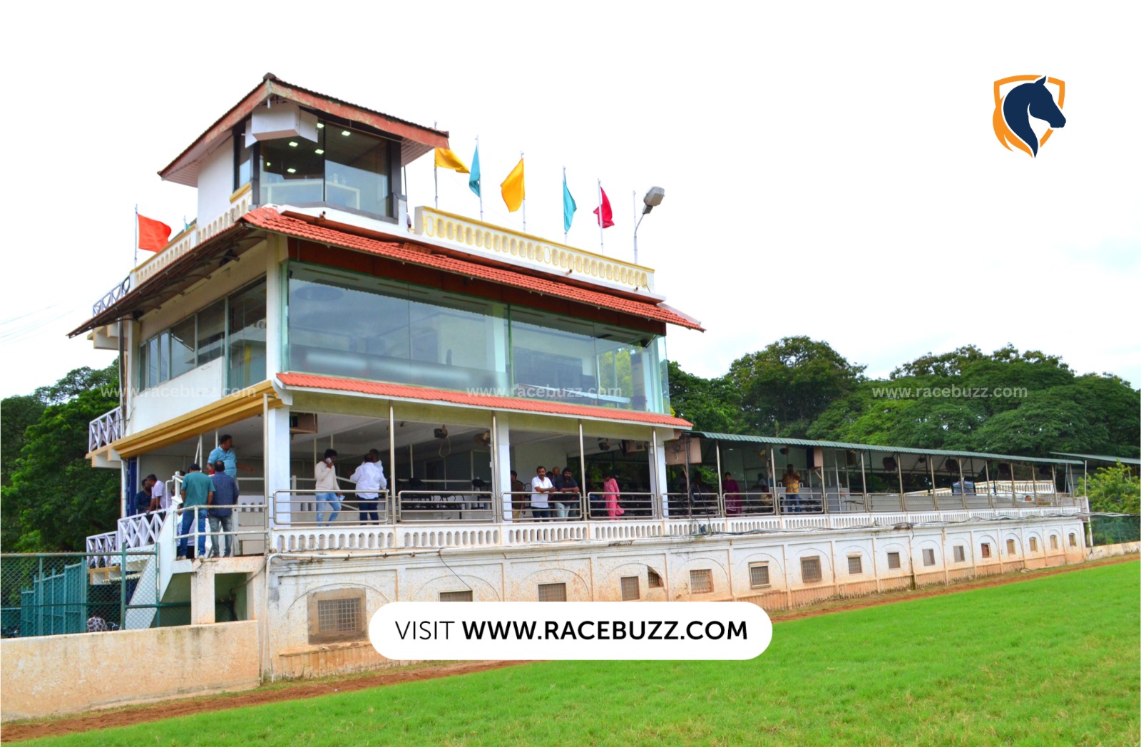 Mysore Summer Races 2025 finale day horses in action at Mysore Race Club