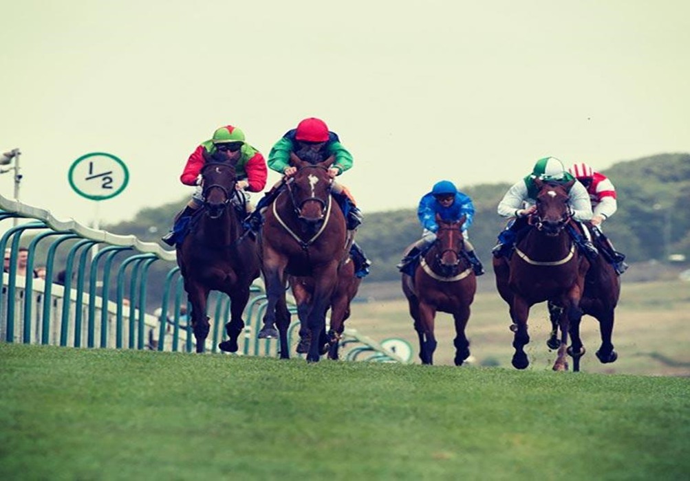 Jockeys sprinting uphill at Brighton Racecourse during the Brighton Festival of Racing