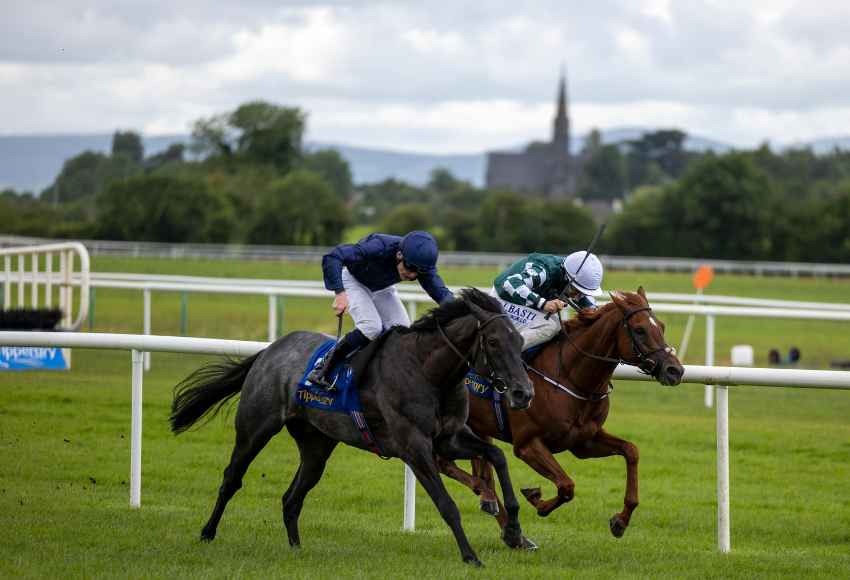 Crowds enjoy the Tipperary Racecourse August 8 races under the summer evening sky