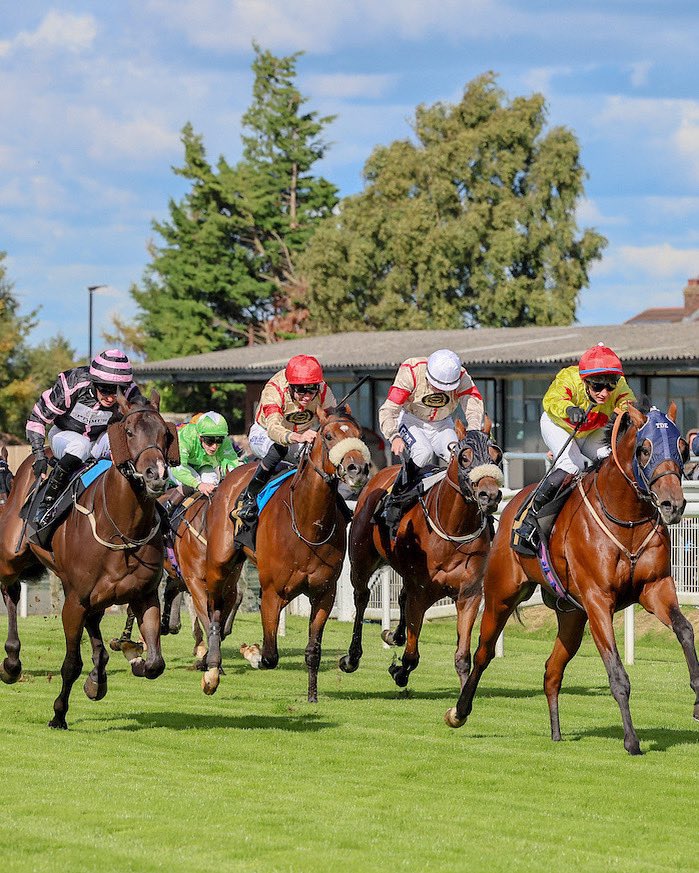 Crowds enjoying racing and family activities at Carlisle Racecourse on August 12, 2025