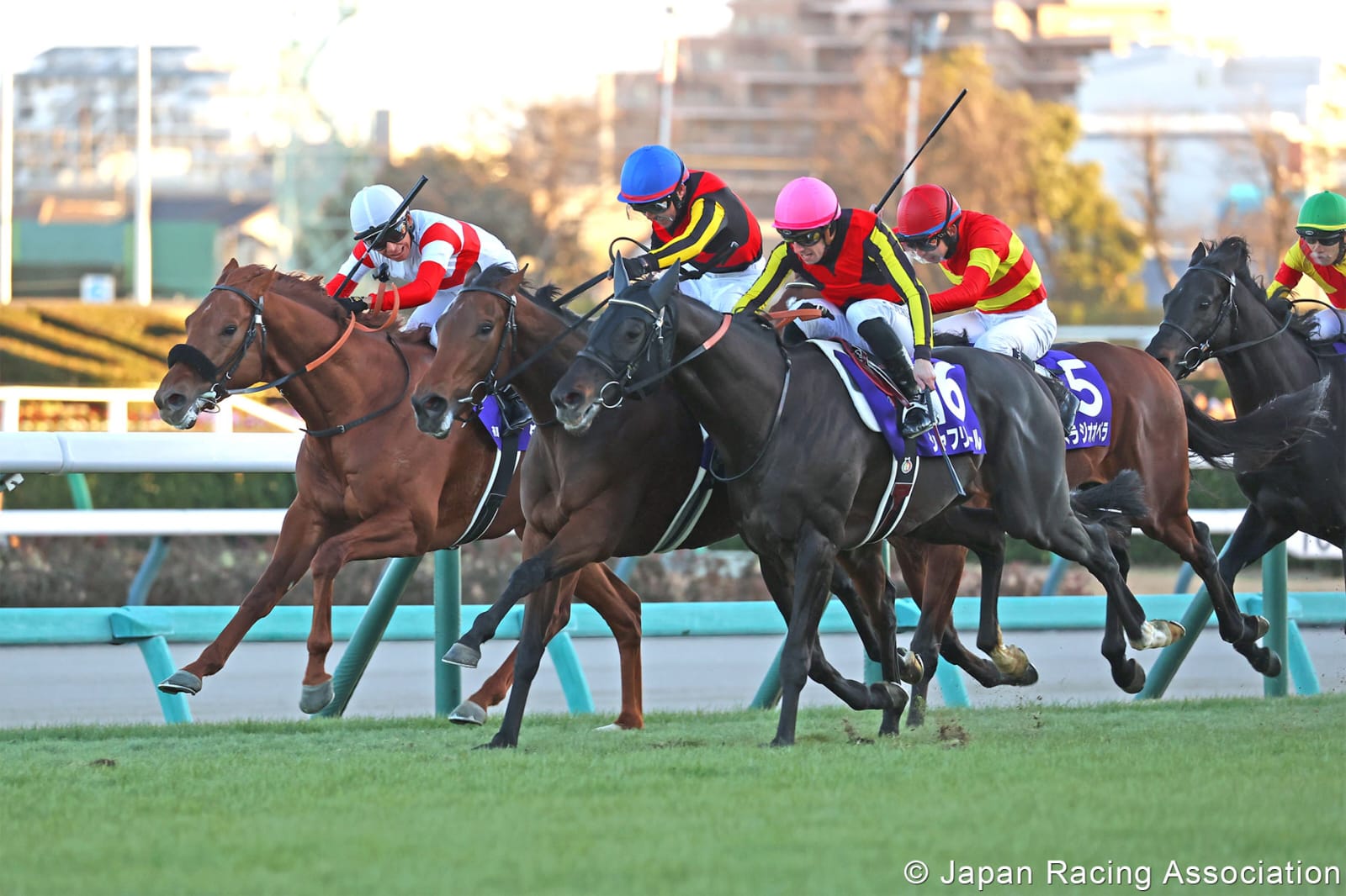 Sapporo Races August 17 at Hokkaido Racecourse showcasing thrilling turf racing action