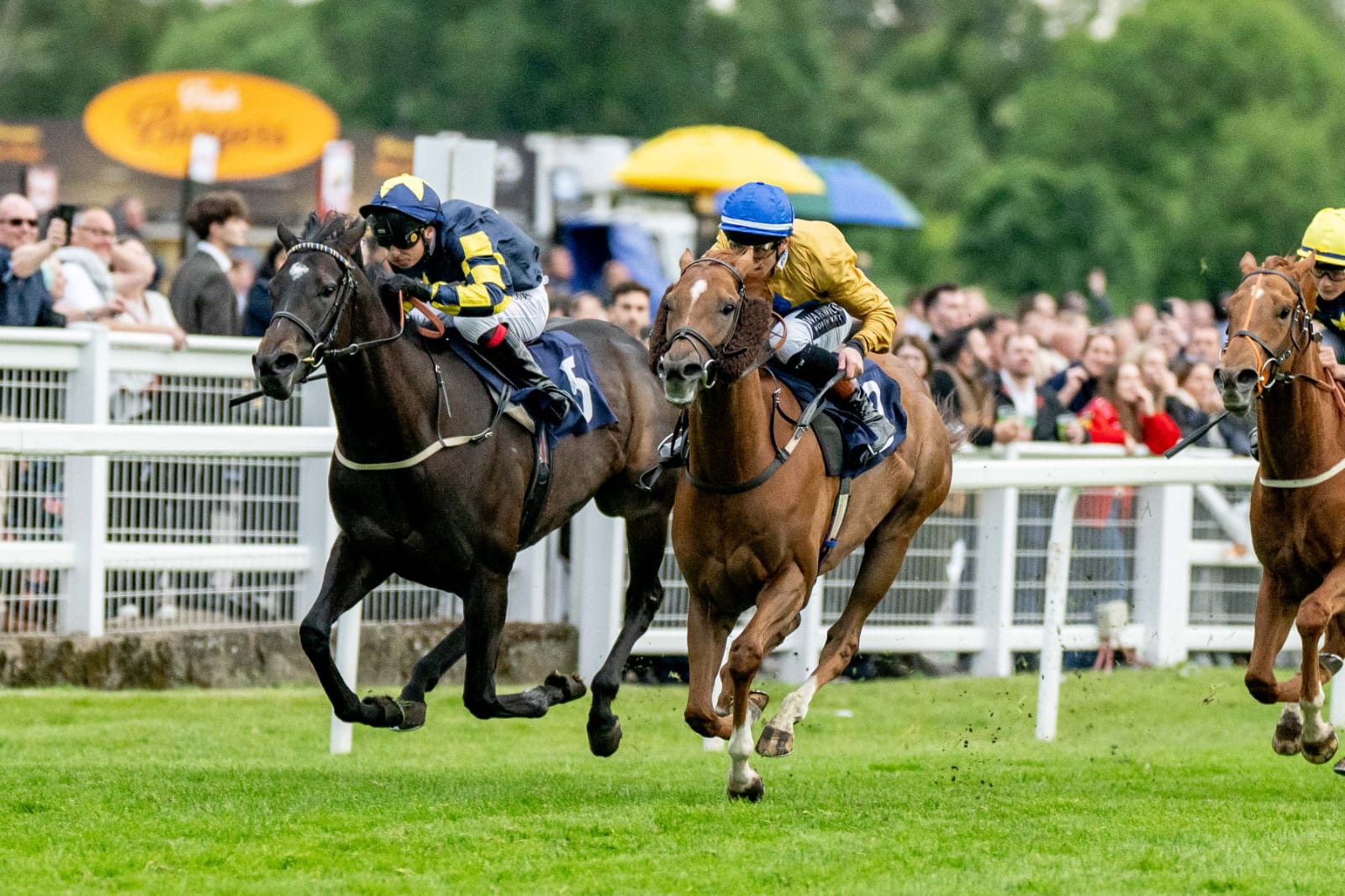 Preview of Windsor races August 18 featuring Mexican Fiesta Racenight at Royal Windsor Racecourse