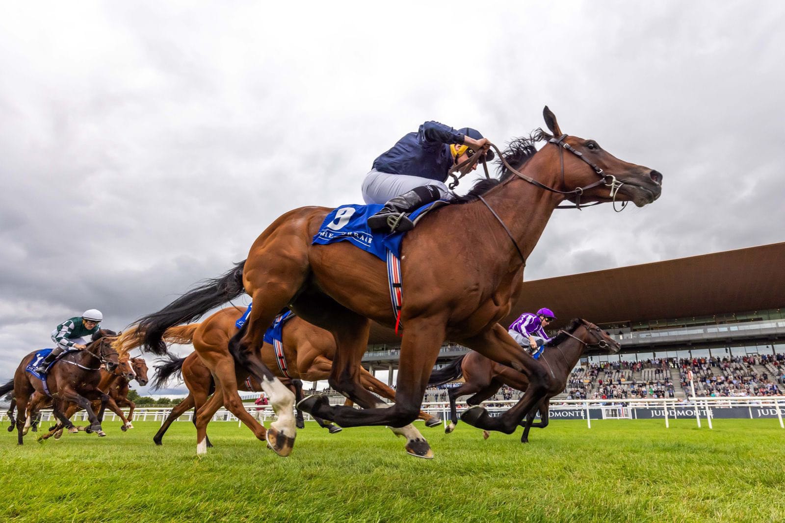 Horses racing down the Curragh Racecourse track on a bright summer afternoon.