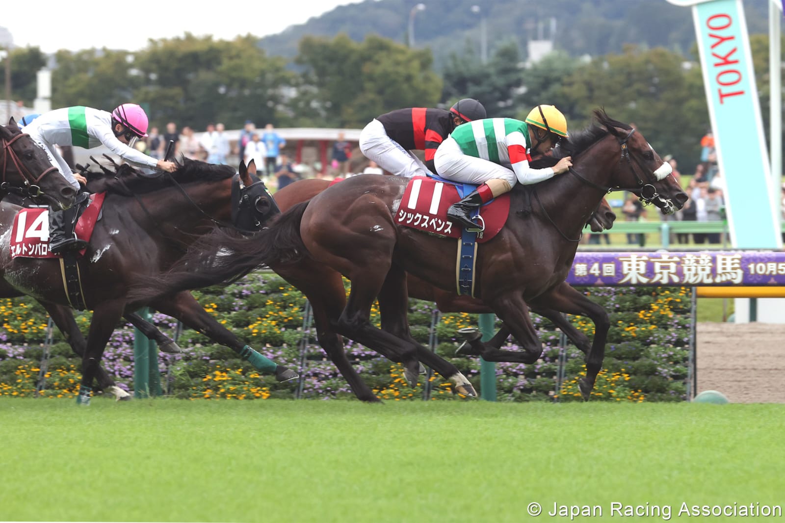 Horses and jockeys prepare for a 12-race card at Niigata Turf, August 24, with prize money on offer