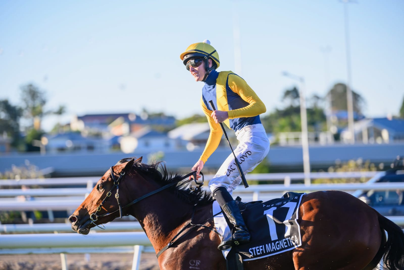 Horses racing at Doomben Racecourse during a mid-week meeting