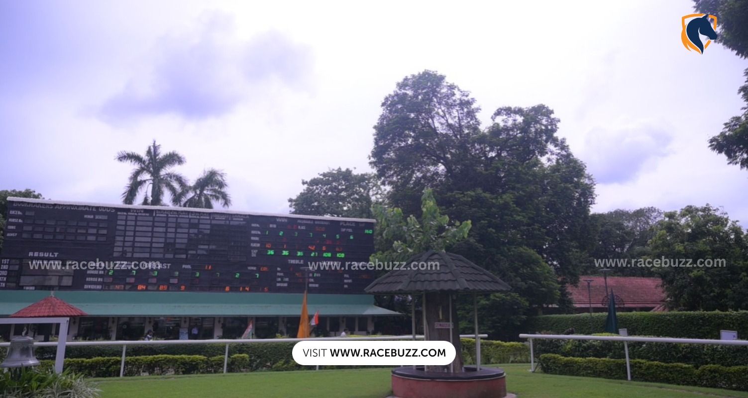 Horses preparing at Royal Calcutta Turf Club for the 2025 Monsoon Meeting