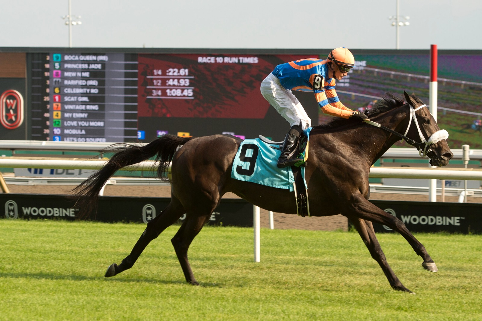 Horses and jockeys competing at Woodbine Racetrack in an action-packed race day